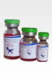  Veterinary Vaccine